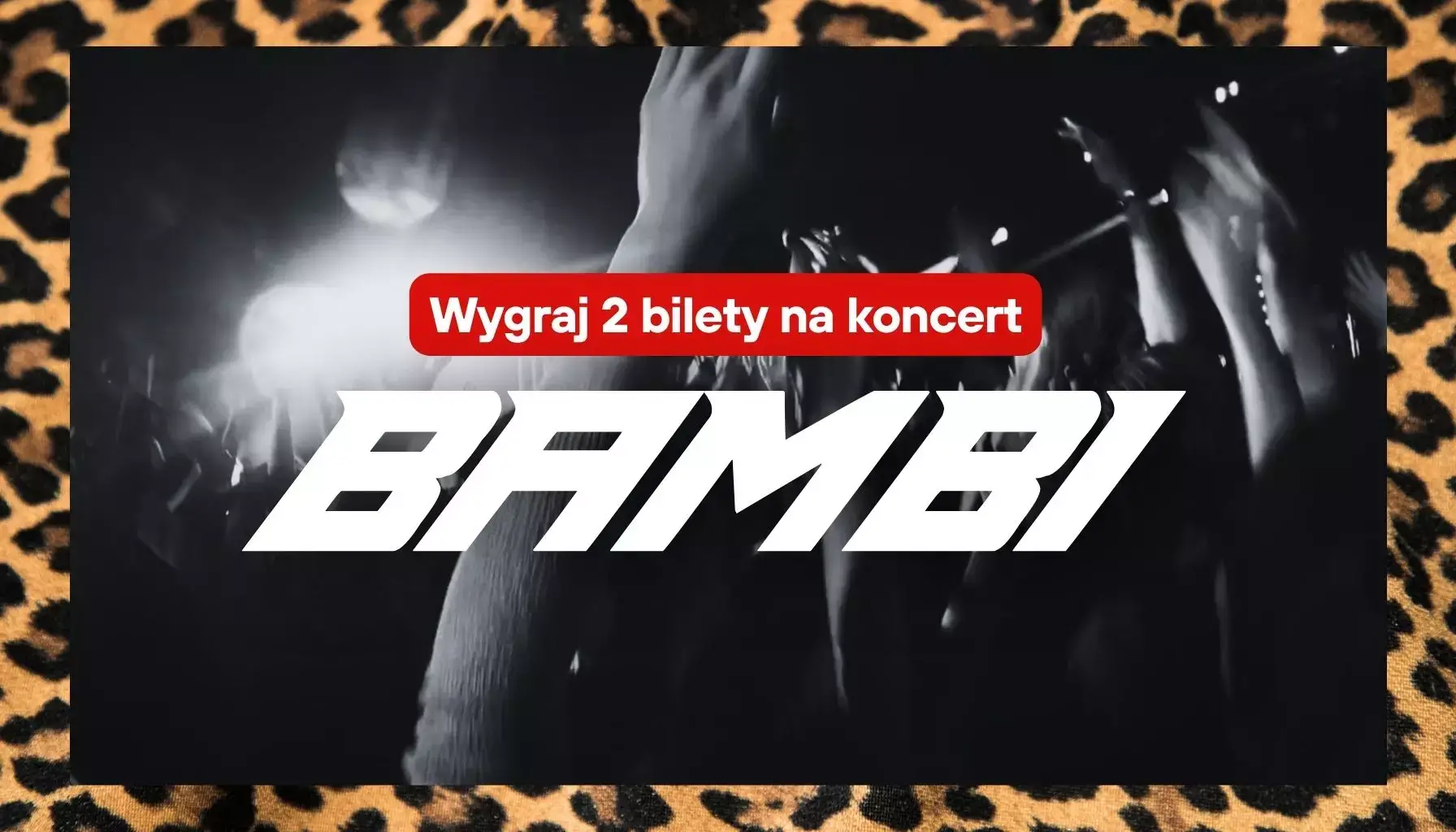 konkurs bilety na bambi