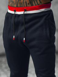 Спортивний костюм чоловічій tемно-cинiй OZONEE JS/8C65/25