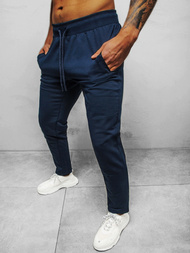 Spodnie dresowe męskie granatowe b/18203022