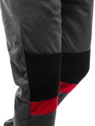 Штани спортивні чоловічі Темно-сірі OZONEE JS/JZ11016