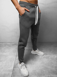 Штани спортивні чоловічі Графітові OZONEE O/12110Z