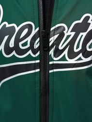 Куртка чоловіча Зелена OZONEE JS/84M3011/238