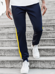 Штани спортивні чоловічі Темно-Синi OZONEE JS/K20016SP