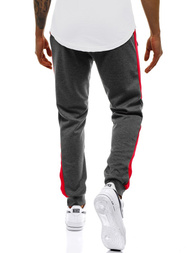 Spodnie dresowe męskie grafitowe OZONEE JS/JZ11013