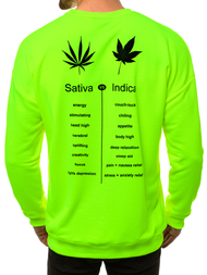 Bluza męska zielono-neonowa OZONEE MACH/3149