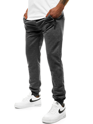 Штани спортивні чоловічі графіт JS/XW005S