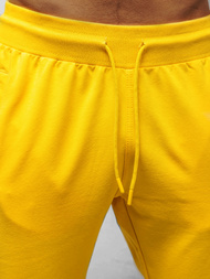 Штани спортивні чоловічі Жовтi B/18203022