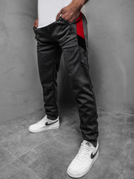 Штани спортивні чоловічі Темно-сірі OZONEE JS/JZ11026Z