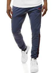 Штани спортивні чоловічі Темно-Синi OZONEE JS/AM100