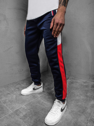 Штани спортивні чоловічі Темно-Синi OZONEE JS/JZ11027Z