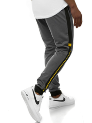 Штани спортивні чоловічі Сiрi OZONEE JS/AM100