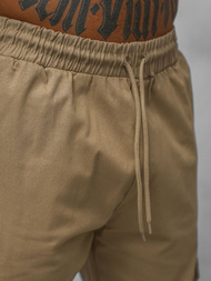 Штани чоловічі джоггери Гiрчичнi OZONEE O/G3006Z