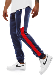 Spodnie dresowe męskie granatowe OZONEE JS/JZ11027