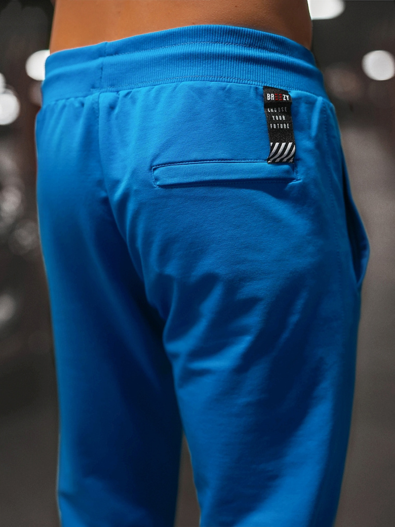 Spodnie dresowe męskie niebieskie b/18203022z