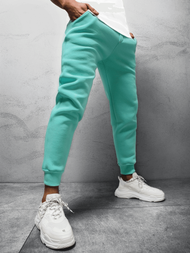 Штани спортивні чоловічі м’ятні OZONEE O/12110