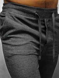 Штани чоловічі Графітові OZONEE DJ/5255/21