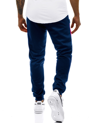 Spodnie dresowe męskie granatowe OZONEE JS/JZ11018