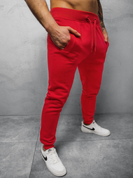 Штани спортивні чоловічі Темно-Червонi OZONEE JS/XW01/59