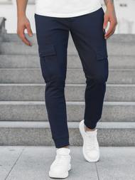 Штани спортивні чоловічі Сапфірові OZONEE C/374