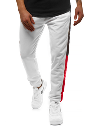 Штани спортивні чоловічі Бiлi OZONEE JS/JZ11012