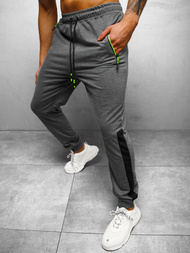 Штани спортивні чоловічі графіт OZONEE JS/68K10356