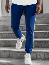 Штани спортивні чоловічі Кобальтовий OZONEE JS/K20013SP