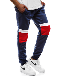 Штани спортивні чоловічі Темно-Синi OZONEE JS/JZ11010