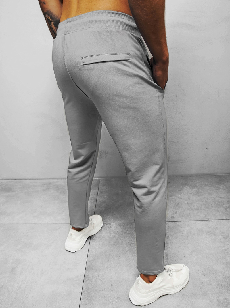 Spodnie dresowe męskie szare b/18203022