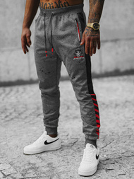 Штани спортивні чоловічі Графітові OZONEE JS/K10232Z