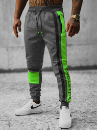 Штани спортивні чоловічі Графітові OZONEE JS/K10132Z