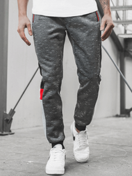 Штани спортивні чоловічі Графітові OZONEE JS/K60006SP