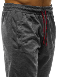Штани спортивні чоловічі Темно-сірі OZONEE JS/JZ11016