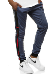 Штани спортивні чоловічі Темно-Синi OZONEE JS/AM100