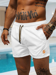 Шорти для плавання чоловічі Бiлi OZONEE O/22205001