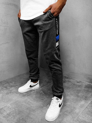 Штани спортивні чоловічі графіт OZONEE JS/AM90Z