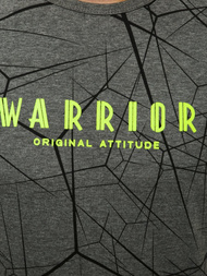 Футболка чоловіча графіт OZONEE JS/SS10935