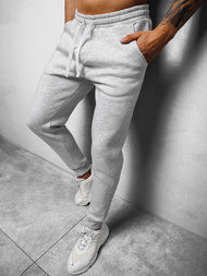 Штани спортивні чоловічі Яскраво-Сiрi OZONEE O/12110Z