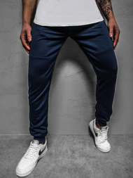 Штани спортивні чоловічі Темно-Синi OZONEE JS/JZ11021Z
