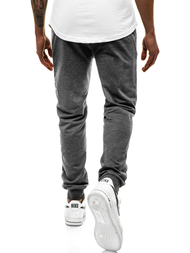 Spodnie dresowe męskie ciemno-szare js/xw007s