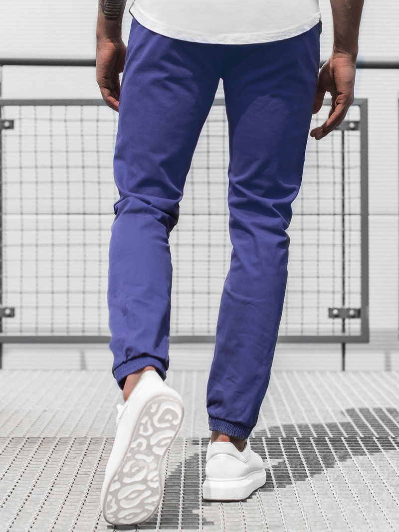 Штани чоловічі джоггери Фiолетова OZONEE JB/JP1145/12