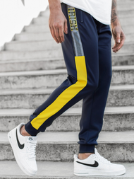 Штани спортивні чоловічі Темно-Синi OZONEE JS/K20016SP