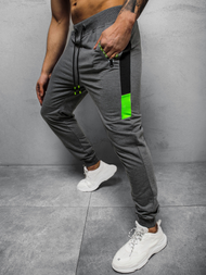 Штани спортивні чоловічі Графітові OZONEE JS/68K10209