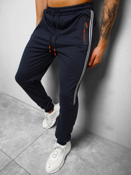 Штани спортивні чоловічі Ультрамарин OZONEE JS/68K10338