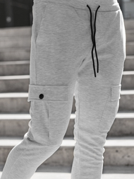Spodnie dresowe męskie szare OZONEE C/374