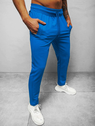 Штани спортивні чоловічі Синi B/18203022