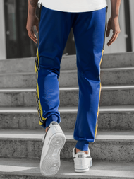 Штани спортивні чоловічі Кобальтовий OZONEE JS/K20013SP