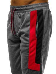 Штани спортивні чоловічі Темно-сірі OZONEE JS/JZ11019