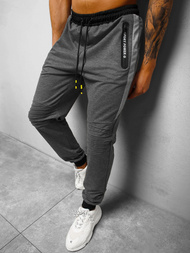 Штани спортивні чоловічі графіт OZONEE JS/68K10326