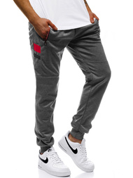Штани спортивні чоловічі Темно-сірі OZONEE JS/JZ11025
