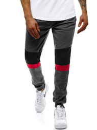 Spodnie dresowe męskie grafitowe OZONEE JS/JZ11016
